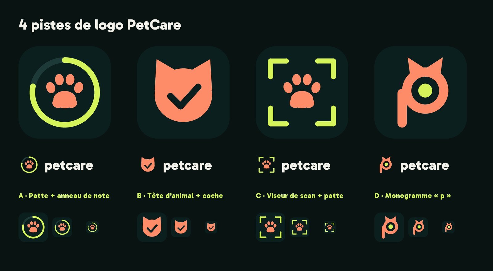 PetCare — quatre pistes de logo : patte et anneau de note, tête d'animal et coche, viseur de scan, monogramme p
